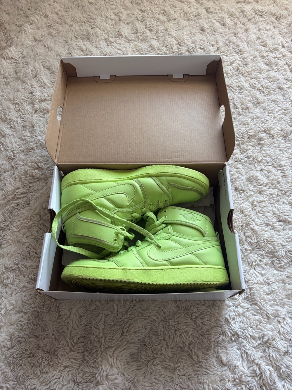 Billie Eilish Jordans